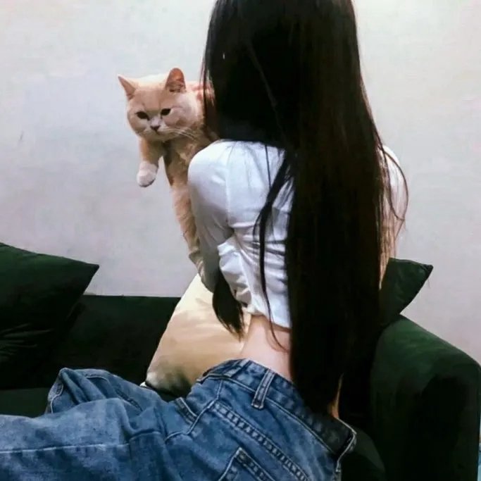 狗年
